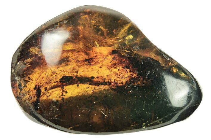 Polished Chiapas Amber ( g) - Mexico #274403